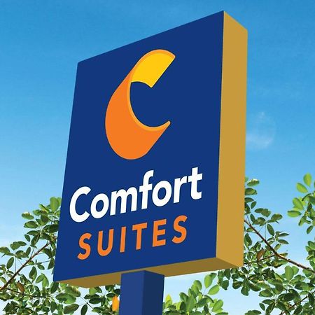 Comfort Suites Clovis Kültér fotó